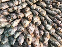 a textura de peixe de mar salgado seco com cabeça, boca aberta e escamas. lanche de peixe salgado para cerveja. o fundo foto