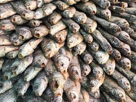 a textura de peixe de mar salgado seco com cabeça, boca aberta e escamas. lanche de peixe salgado para cerveja. o fundo foto