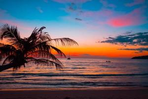 belo pôr do sol sobre o mar com vista para palmeiras na praia tropical para viagens e férias foto