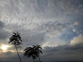 silhueta de galho de árvore contra o fundo do céu da tarde foto