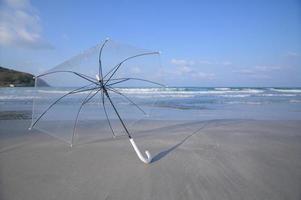 um guarda-chuva na praia foto