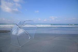 um guarda-chuva na praia foto