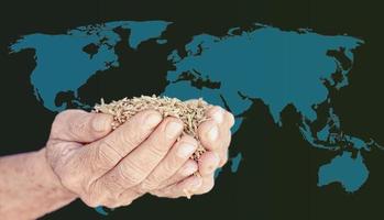 a mão de um homem segurando o arroz de jasmim na mão fundo do ícone do mapa do mundo foto