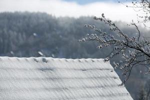 telhado sob a neve foto