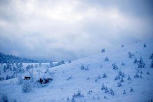 inverno na montanha foto