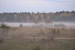 terra dianteira com neblina na grama e urze na dinamarca, na frente das dunas. humor místico foto