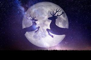 silhueta de veado à noite contra o pano de fundo de uma grande lua. plano de fundo para o natal foto
