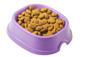 grânulos de ração seca para animais em um prato roxo. alimentos para animais de estimação isolados no branco. foto