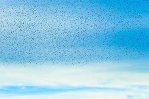 bando de pássaros no céu azul foto