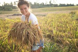 agricultor de mulher feliz durante a colheita no campo de arroz foto