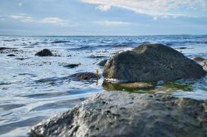 grande pedra na água na praia no mar. costa dinamarquesa em um dia ensolarado foto