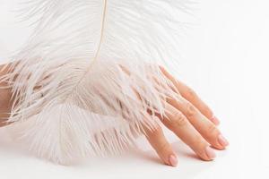 mão feminina com pele lisa e penas de avestruz macias em fundo branco foto