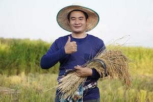 bonito fazendeiro masculino asiático usa chapéu, segura foice e colheu plantas de arroz no campo de arroz. afirmativo. conceito, ocupação agrícola. agricultor com arroz orgânico. foto