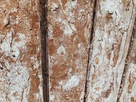 textura, cerca de madeira. tábuas de toras, marrons, com tinta rachada. tinta branca voa da árvore. a cor é heterogênea, surrada. aplicação de material de má qualidade na casa foto