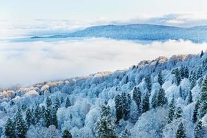 vista do topo da floresta coberta de neve com nuvens flutuantes baixas. bela paisagem de inverno. foto