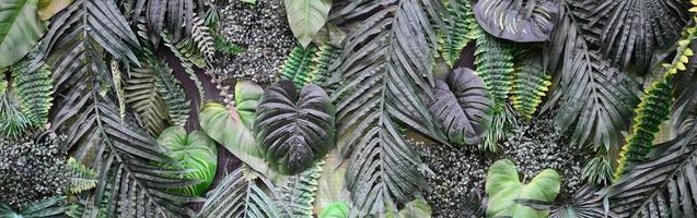 fundo de folhas verdes tropicais, samambaia, palmeira e folha de monstera deliciosa na parede foto