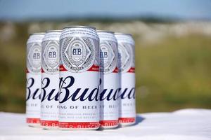 sumy, ucrânia - 01 de agosto de 2022 muitas latas de cerveja alcoólica budweiser lager - budweiser é uma marca da anheuser-busch inbev foto