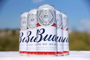 sumy, ucrânia - 01 de agosto de 2022 muitas latas de cerveja alcoólica budweiser lager - budweiser é uma marca da anheuser-busch inbev foto