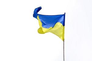 bandeira ucraniana tremulando no vento isolado no fundo branco foto