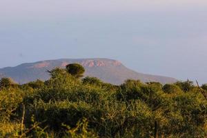 paisagens da áfrica austral foto