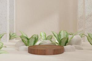 conjunto de pódio de plantas 2 foto