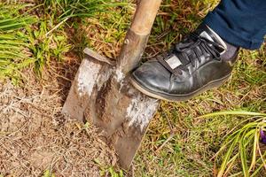 uma mulher de tênis está cavando um buraco para plantar uma flor. cuidado do jardim em casa. foto