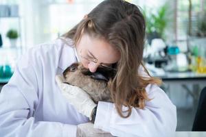 veterinário tratando coelhos doentes ele está dando aos coelhinhos a atenção que eles precisam para ficarem bem foto