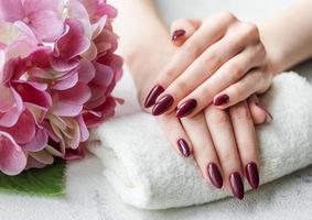 mãos de uma jovem com manicure vermelho escuro nas unhas foto