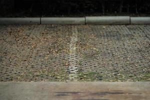 paisagem de vagas de estacionamento com folhas secas cobertas na superfície do bloco de cimento foto