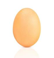 ovos de galinha em fundo branco com reflexão foto