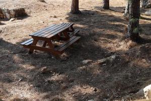 banco para descanso em um parque da cidade em israel. foto