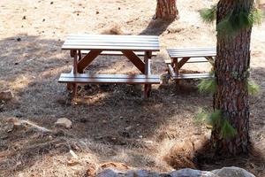 banco para descanso em um parque da cidade em israel. foto