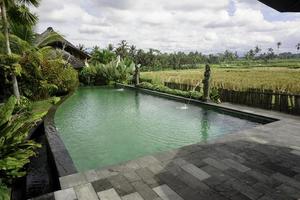 um retrato de uma piscina ao lado do campo de arroz, árvores e plats em um resort em ubud, bali foto