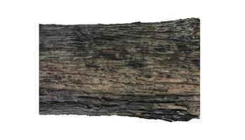textura de casca de árvore de teca isolada madeira de boa qualidade foto