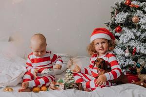 crianças de pijama vermelho e branco sentadas na cama compartilham doces de natal umas com as outras e com o cachorro. irmão e irmã, menino e menina comemoram o ano novo. espaço para texto. foto de alta qualidade