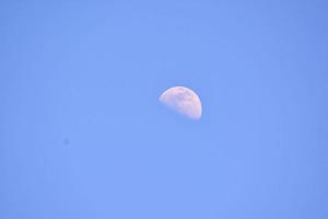 bela lua close-up foto
