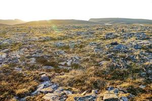 paisagem na suécia, europa foto