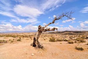 paisagem nas ilhas canárias foto