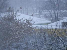 árvores cobertas de neve em uma tempestade de neve na cidade foto