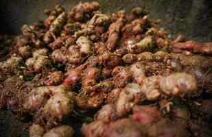 um monte de especiarias de gengibre vermelho colhidas foto