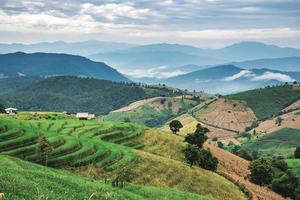 paisagem do terraço de arroz em ban pa bong piang em chiang mai tailândia foto