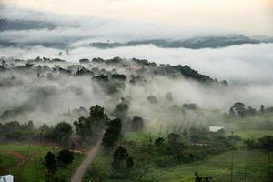 campo verde, árvore com céu azul, neblina e nuvem pela manhã foto