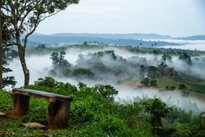 campo verde, árvore com céu azul, neblina e nuvem pela manhã foto