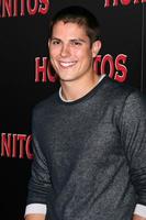 Sean Faris Evento Cinco de Maio Crown Bar Los Angeles, Califórnia, 5 de maio de 2008 foto