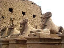 estátuas de esfinge com cabeça de carneiro no antigo templo de karnak no egito foto