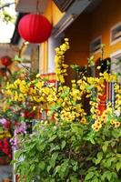 flores coloridas perto de prédio amarelo com lanterna chinesa vermelha em uma rua em hoi an, vietnã. foto