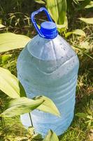 uma grande garrafa de água potável fresca e limpa fica na floresta ao lado dos brotos de flores de lírio do vale foto