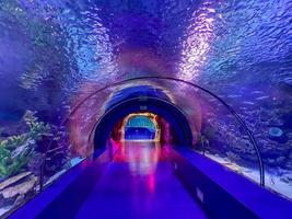 grande lindo túnel de vidro redondo debaixo d'água no aquário com peixes diferentes. conceito de turismo, mundo do mar, mergulho foto