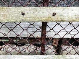 textura, malha de metal. na rede há varas de madeira pregadas. cabine de cachorro caseira. cercas, proteção animal de estimação. casa de cachorro, quarto de animal de estimação pequeno foto