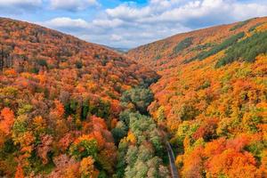 vista aérea da floresta e estrada no outono com árvores coloridas. fotografia de drone. incrível paisagem da natureza sonhadora vista aérea superior. floresta de montanha cores vivas naturais. folhagem de outono colorida aérea foto